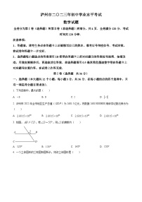 2023年四川省泸州市中考数学真题