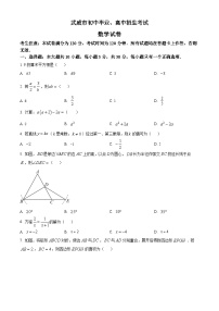 2023年甘肃省武威市中考数学真题