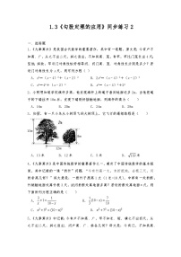 初中数学第一章 勾股定理3 勾股定理的应用精品练习题