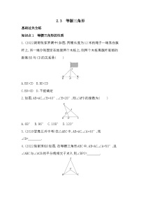 湘教版八年级上册2.1 三角形精品达标测试