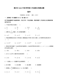 海南省儋州市2022-2023学年八年级下学期期末数学试题(无答案)