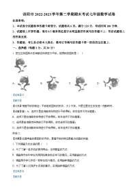 河南省洛阳市2022-2023学年七年级下学期期末数学试题（解析版）