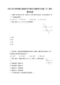 2022-2023学年浙江省嘉兴市平湖市六校联考七年级（下）期中数学试卷（含解析）