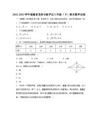 2022-2023学年福建省龙岩市新罗区八年级（下）期末数学试卷（含解析）