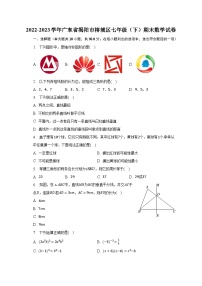 2022-2023学年广东省揭阳市榕城区七年级（下）期末数学试卷（含解析）