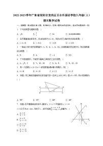 2022-2023学年广东省深圳市龙岗区百合外国语学校八年级（上）期末数学试卷（含解析）