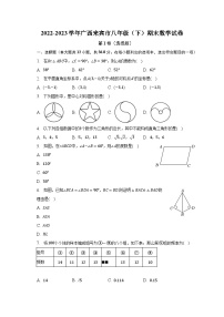 2022-2023学年广西来宾市八年级（下）期末数学试卷（含解析）