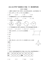 2022-2023学年广西来宾市八年级（下）期末数学试卷（含解析）