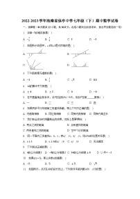 2022-2023学年海南省保亭中学七年级（下）期中数学试卷（含解析）