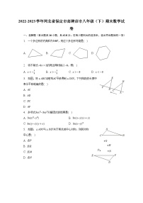 2022-2023学年河北省保定市高碑店市八年级（下）期末数学试卷（含解析）