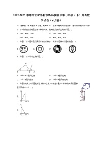 2022-2023学年河北省邯郸市鸡泽实验中学七年级（下）月考数学试卷（6月份）（含解析）