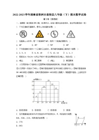 2022-2023学年湖南省株洲市茶陵县八年级（下）期末数学试卷（含解析）