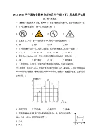 2022-2023学年湖南省株洲市茶陵县八年级（下）期末数学试卷（含解析）