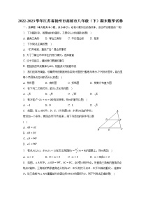 2022-2023学年江苏省扬州市高邮市八年级（下）期末数学试卷（含解析）