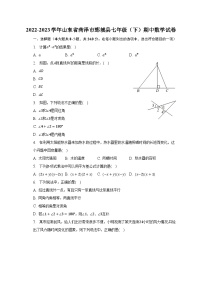 2022-2023学年山东省菏泽市鄄城县七年级（下）期中数学试卷（含解析）