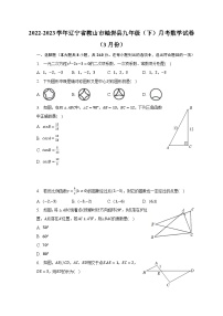 2022-2023学年辽宁省鞍山市岫岩县九年级（下）月考数学试卷（3月份）（含解析）