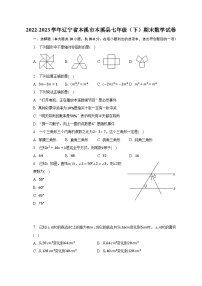 2022-2023学年辽宁省本溪市本溪县七年级（下）期末数学试卷（含解析）