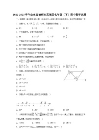 2022-2023学年山东省德州市武城县七年级（下）期中数学试卷（含解析）