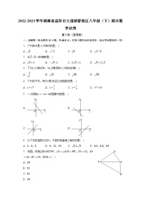 2022-2023学年湖南省益阳市大通湖管理区八年级（下）期末数学试卷（含解析）