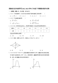 福建省龙岩市新罗区2022-2023学年八年级下学期期末数学试卷（含答案）