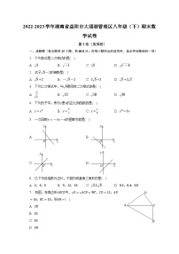 湖南省益阳市大通湖管理区2022-2023学年下学期八年级期末数学试卷　（含答案）