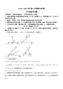 山东省聊城市茌平区2022-2023学年七年级下学期期末数学试题（含答案）