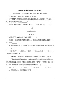 中考数学真题：2020年云南省初中学业水平考试