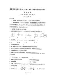 四川省成都市高新实验中学2022-2023学年九年级上学期半期考试数学试题