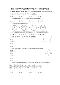 2022-2023学年广西来宾市八年级（下）期末数学试卷（含解析）