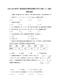 2022-2023学年广东省深圳市福田区莲花中学八年级（上）期末数学试卷（含解析）