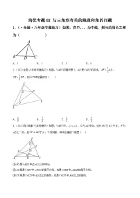 培优专题02 与三角形有关的线段和角的问题-2023-2024学年八年级数学上册精选专题培优讲与练（人教版）