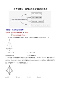 培优专题03 证明三角形全等的基本思路-2023-2024学年八年级数学上册精选专题培优讲与练（人教版）