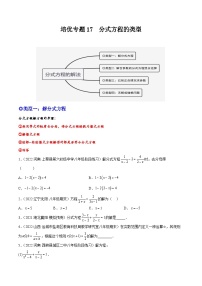 培优专题17 分式方程的类型-2023-2024学年八年级数学上册精选专题培优讲与练（人教版）