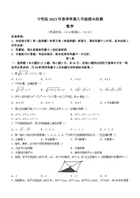 广西壮族自治区崇左市宁明县2022-2023学年八年级下学期期末数学试题（含答案）