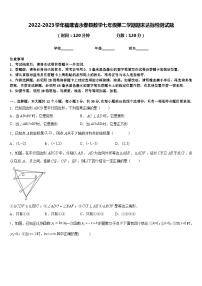 2022-2023学年福建省永春县数学七年级第二学期期末达标检测试题含答案