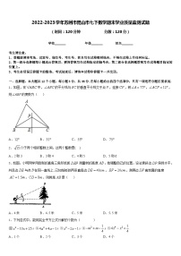 2022-2023学年苏州市昆山市七下数学期末学业质量监测试题含答案