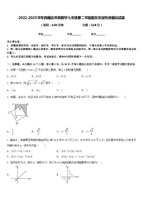 2022-2023学年西藏达孜县数学七年级第二学期期末质量检测模拟试题含答案