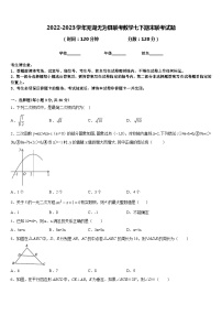 2022-2023学年芜湖无为县联考数学七下期末联考试题含答案