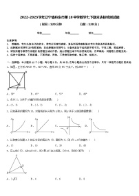 2022-2023学年辽宁省丹东市第18中学数学七下期末达标检测试题含答案