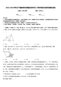 2022-2023学年辽宁省锦州市滨海期实验学校七下数学期末质量检测模拟试题含答案