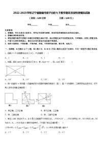 2022-2023学年辽宁省盘锦市双子台区七下数学期末质量检测模拟试题含答案