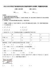 2022-2023学年辽宁省沈阳市东北育才双语学校数学七年级第二学期期末统考试题含答案