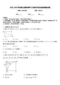 2022-2023学年重庆北碚区数学七下期末学业质量监测模拟试题含答案