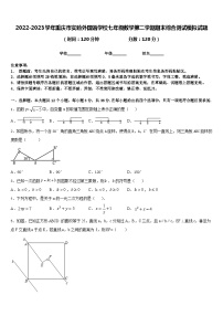 2022-2023学年重庆市实验外国语学校七年级数学第二学期期末综合测试模拟试题含答案