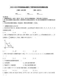2022-2023学年陕西省山阳县七下数学期末质量检测模拟试题含答案