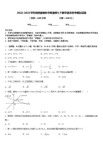 2022-2023学年陕西省榆林市绥德县七下数学期末统考模拟试题含答案