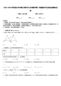 2022-2023学年重庆市长寿区川维片区七年级数学第二学期期末学业质量监测模拟试题含答案