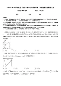 2022-2023学年黑龙江省佳木斯市七年级数学第二学期期末达标检测试题含答案