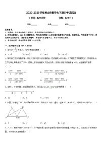 2022-2023学年黄山市数学七下期末考试试题含答案