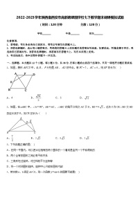 2022-2023学年陕西省西安市高新逸翠园学校七下数学期末调研模拟试题含答案